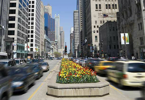Courtyard Chicago St. Charles Saint Charles Exterior foto